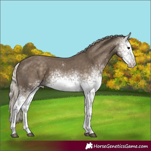 Horse Color:White Spotted Silver Smoky Black 