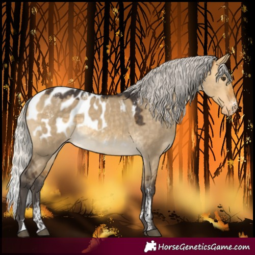 Horse Color:Powder White Silver Buckskin Dun Blanket Rabicano 