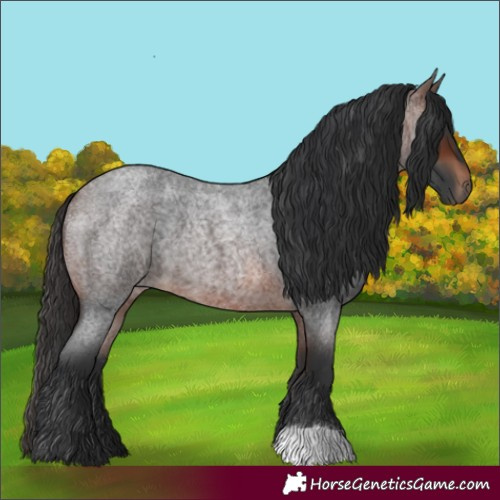 Horse Color:Brown Roan 