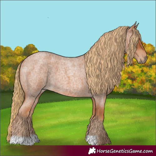 Horse Color:Red Roan