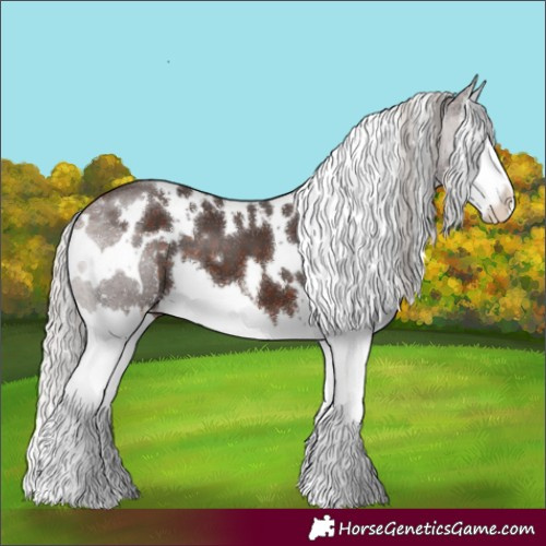 Horse Color:White Spotted Silver Brown Splash