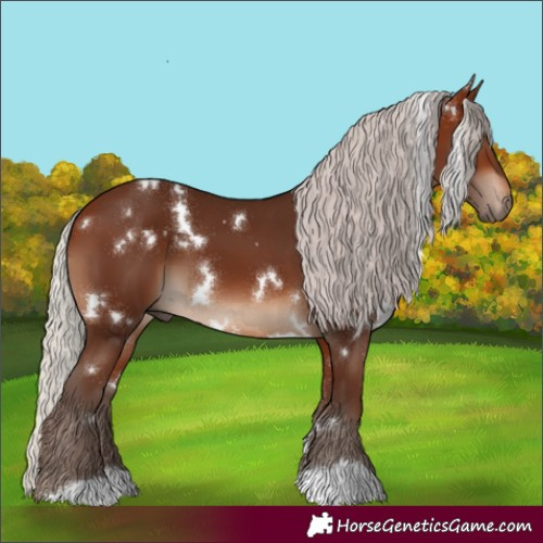 Horse Color:White Spotted Silver Brown 