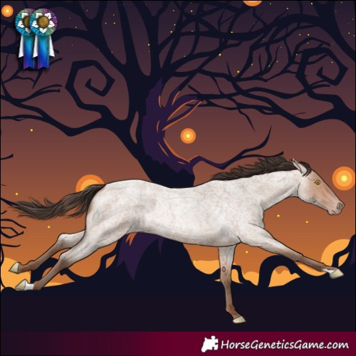 Horse Color:Amber Champagne Roan