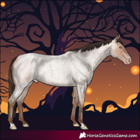 Horse Color:Amber Champagne Roan 