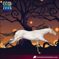 Horse Color:Amber Champagne Roan 