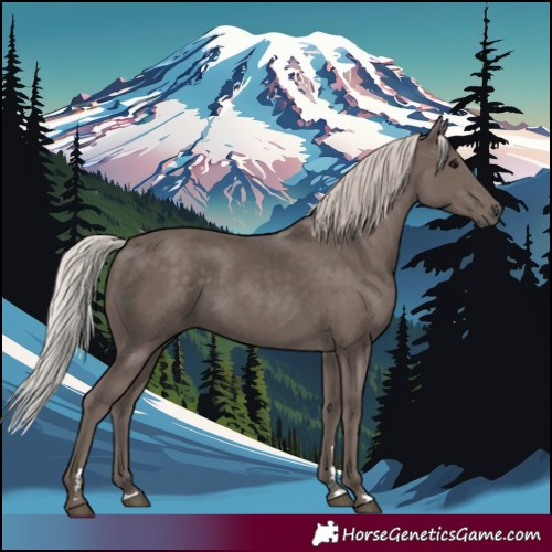 Horse Color:Silver Black