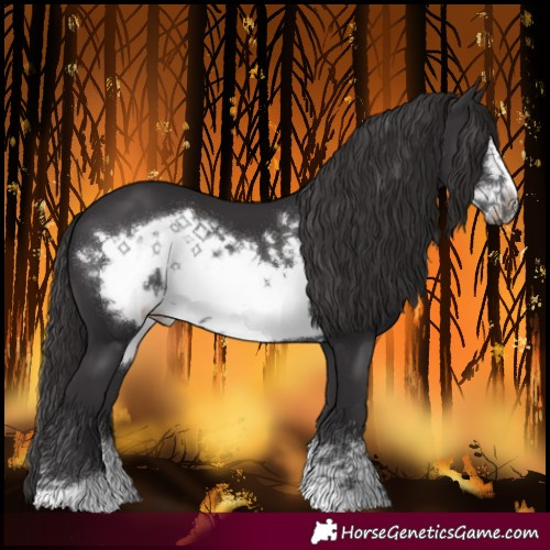 Horse Color:Smoky Black Frame 