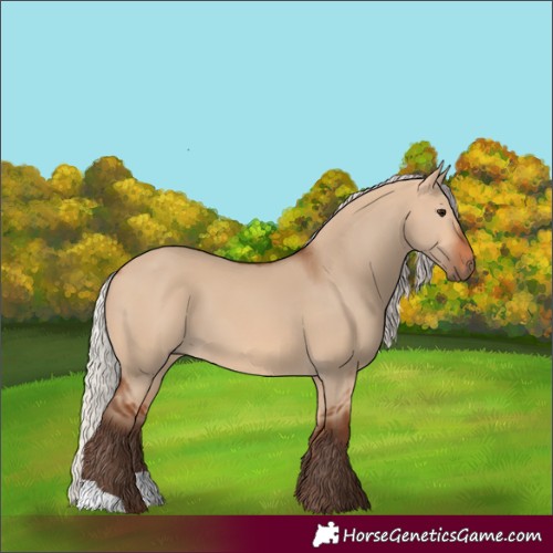 Horse Color:Silver Bay Dun