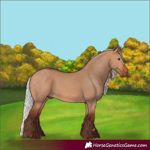 Horse Color:Silver Bay Dun