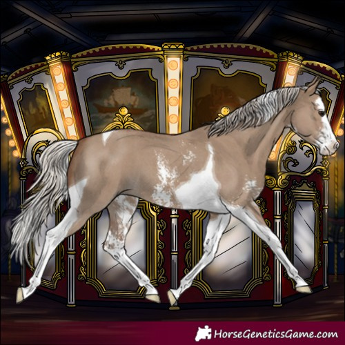 Horse Color:Silver Grullo Sabino Splash Tobiano