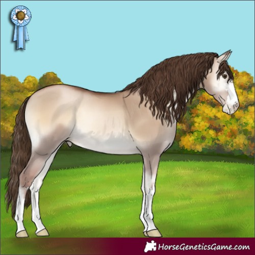 Horse Color:Liver Red Dun Pearl Onyx