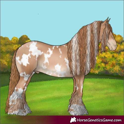 Horse Color:White Spotted Chestnut Pearl