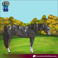 Horse Color:Powder White Gray Liver Chestnut Sabino Rabicano