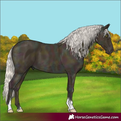 Horse Color:Midnight Silver Classic Cream Champagne Ice Tobiano