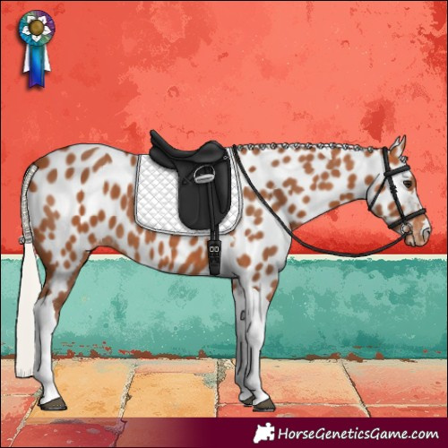 Horse Color:Silver Bay Tobiano Leopard 