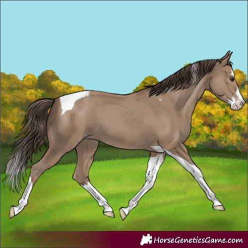 Horse Color:Classic Champagne Splash Tobiano 