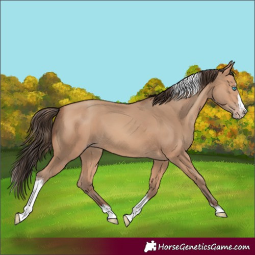 Horse Color:Amber Champagne Splash Tobiano 