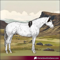 Horse Color:White Spotted Liver Red Roan Appaloosa 
