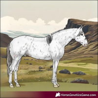 Horse Color:White Spotted Liver Red Roan Leopard