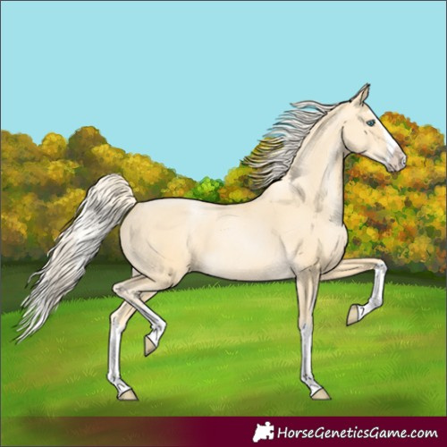 Horse Color:Palomino Pearl Splash
