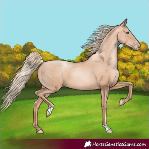 Horse Color:Gold Champagne Pearl Rabicano