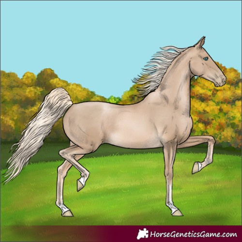 Horse Color:Chocolate Palomino Pearl Rabicano
