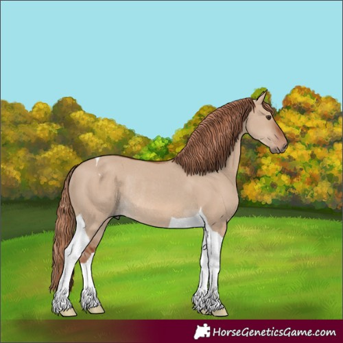 Horse Color:Red Dun Tobiano Rabicano