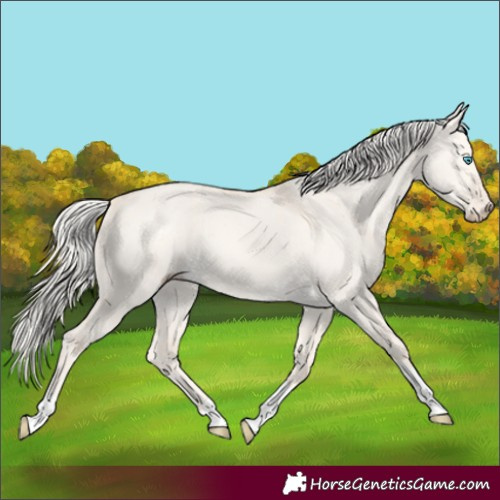 Horse Color:Cremello Dun Tobiano 