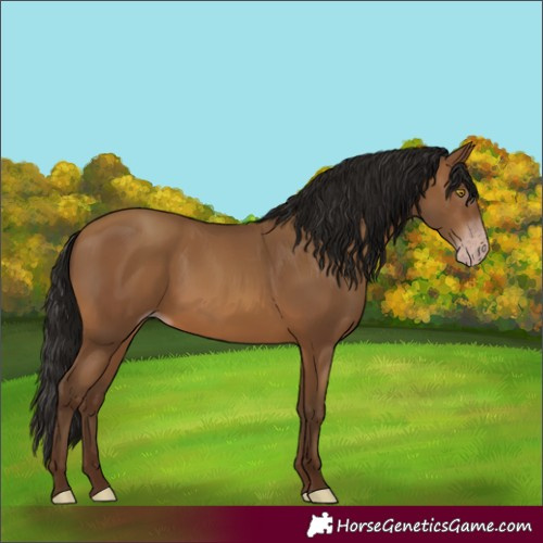 Horse Color:Gray Amber Champagne 