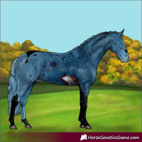 Horse Color:ERROR: UNKNOWN ANOMALY