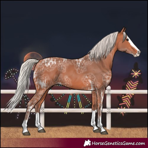 Horse Color:Silver Bay Ice Splash 