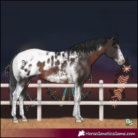 Horse Color:Brown Tobiano Frame Blanket Rabicano