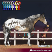 Horse Color:Silver Smoky Black Tobiano Frame Blanket Rabicano