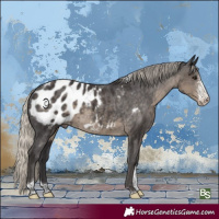 Horse Color:Silver Smoky Black Sabino Tobiano Blanket Rabicano
