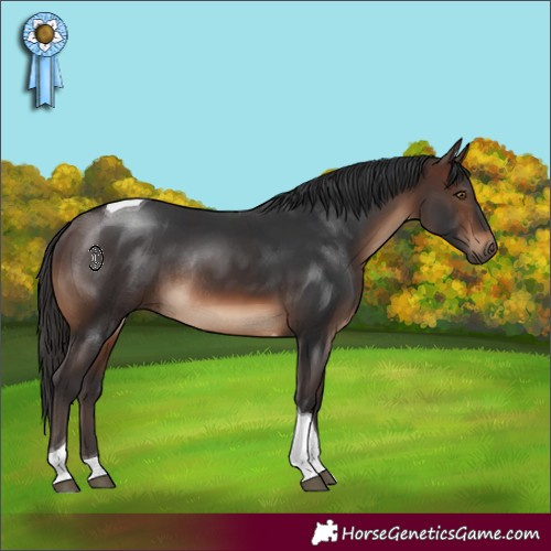 Horse Color:Brown Tobiano Rabicano