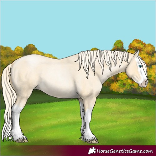 Horse Color:Palomino Roan Pearl Splash 