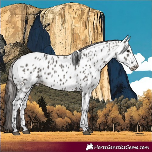 Horse Color:Grullo Near Leopard 
