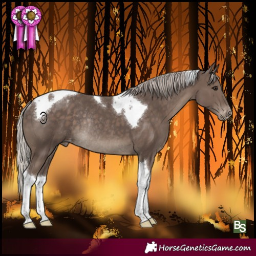Horse Color:Silver Black Tobiano Varnish Rabicano 