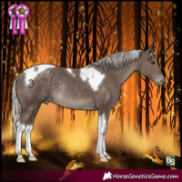 Horse Color:Silver Black Tobiano Varnish Rabicano