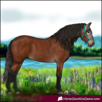 Horse Color:Gray Bay
