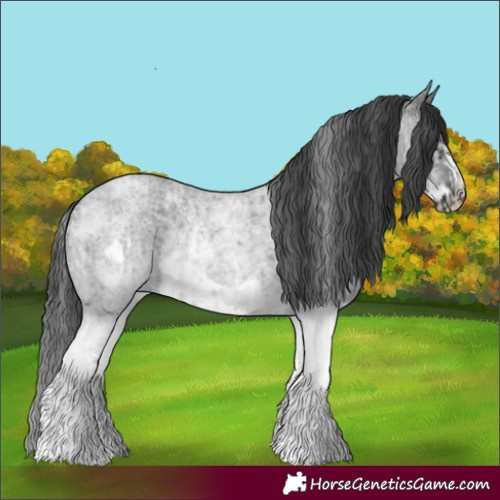 Horse Color:White Spotted Blue Roan Rabicano  and White Spotted Blue Roan Frame Rabicano 