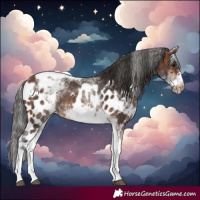 Horse Color:White Spotted Brown Tobiano Frame Skewed LP Spotted 