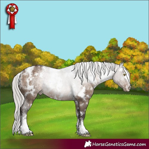 Horse Color:Powder White White Spotted Silver Brown Dun Rabicano 