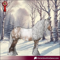 Horse Color:Powder White White Spotted Silver Brown Dun Rabicano
