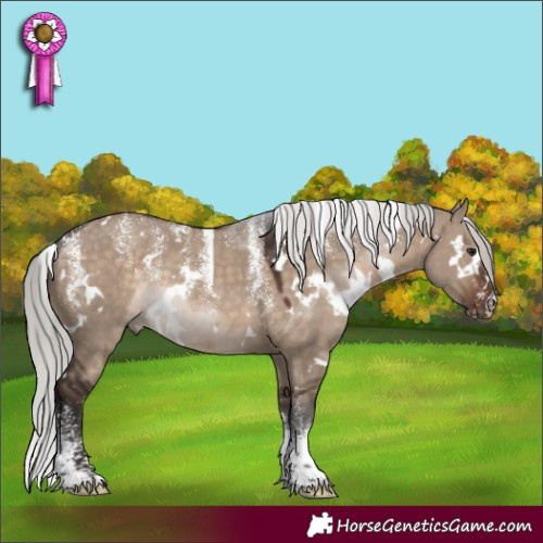 Horse Color:Powder White White Spotted Silver Brown Dun Rabicano 