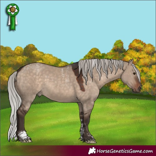Horse Color:Powder White White Spotted Silver Brown Dun Rabicano 