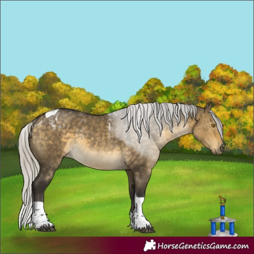 Horse Color:Powder White Silver Buckskin Dun Tobiano Rabicano 