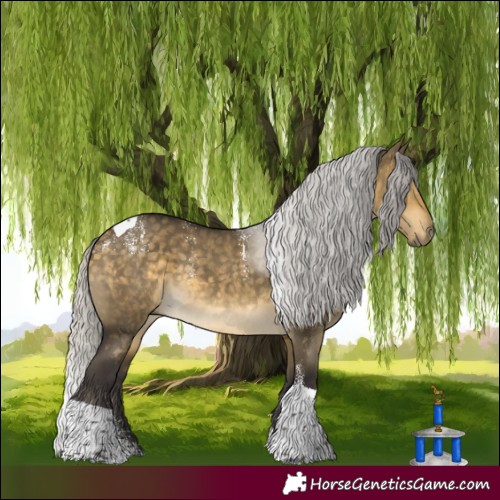 Horse Color:Powder White Silver Buckskin Dun Tobiano Rabicano