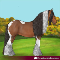 Horse Color:Bay Tobiano Rabicano 