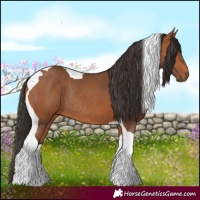 Horse Color:Bay Tobiano Rabicano 